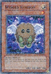 Winged Kuriboh [DT01-EN008] Common | Mega City Incorporated