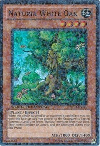 Naturia White Oak [DT04-EN081] Super Rare | Mega City Incorporated