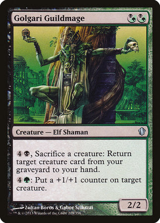 Golgari Guildmage [Commander 2013] | Mega City Incorporated