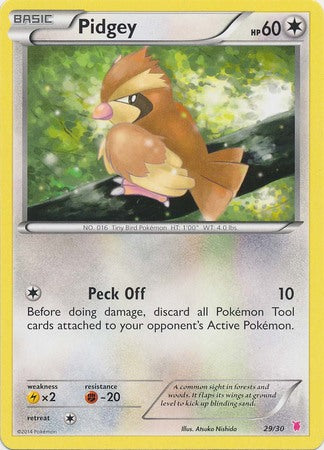 Pidgey (29/30) [XY: Trainer Kit 1 - Wigglytuff] | Mega City Incorporated