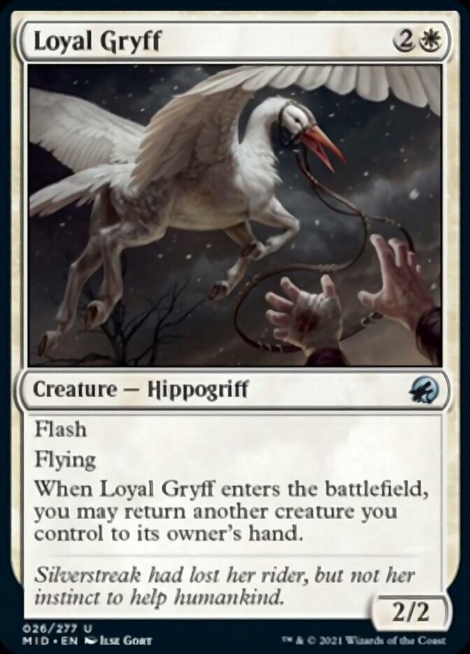 Loyal Gryff [Innistrad: Midnight Hunt] | Mega City Incorporated