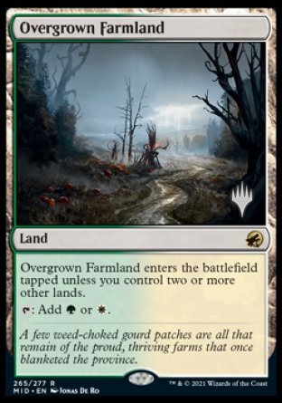 Overgrown Farmland (Promo Pack) [Innistrad: Midnight Hunt Promos] | Mega City Incorporated