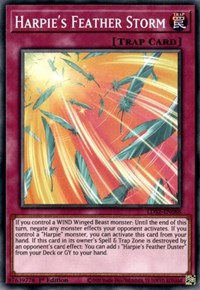 Harpie's Feather Storm [LDS2-EN088] Common | Mega City Incorporated