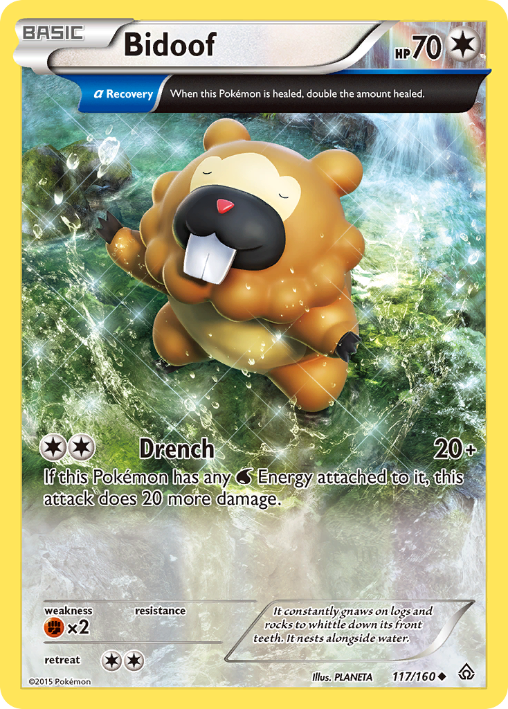 Bidoof (117/160) [XY: Primal Clash] | Mega City Incorporated
