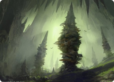 Forest (280) Art Card [Dungeons & Dragons: Adventures in the Forgotten Realms Art Series] | Mega City Incorporated