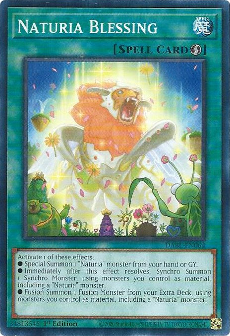 Naturia Blessing [DABL-EN064] Common | Mega City Incorporated