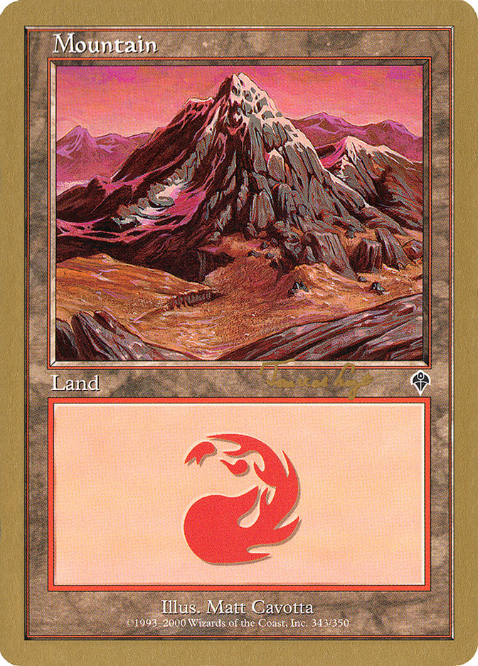 Mountain (tvdl343) (Tom van de Logt) [World Championship Decks 2001] | Mega City Incorporated