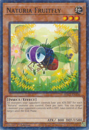 Naturia Fruitfly (Duel Terminal) [HAC1-EN106] Common | Mega City Incorporated