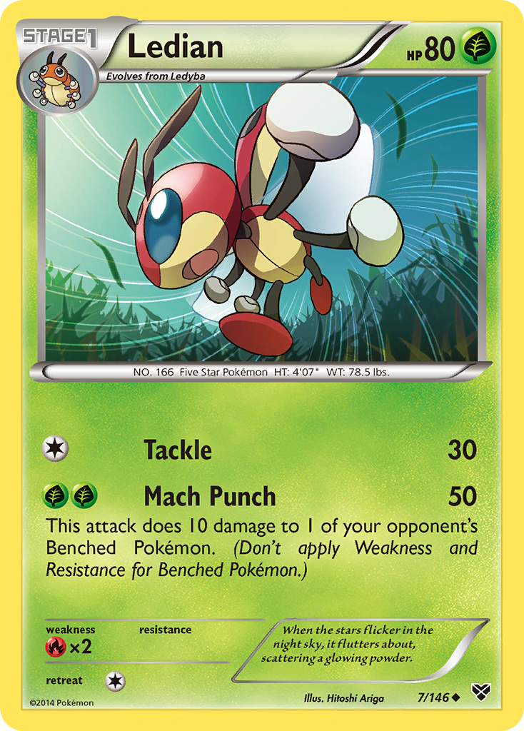 Ledian (7/146) [XY: Base Set] | Mega City Incorporated