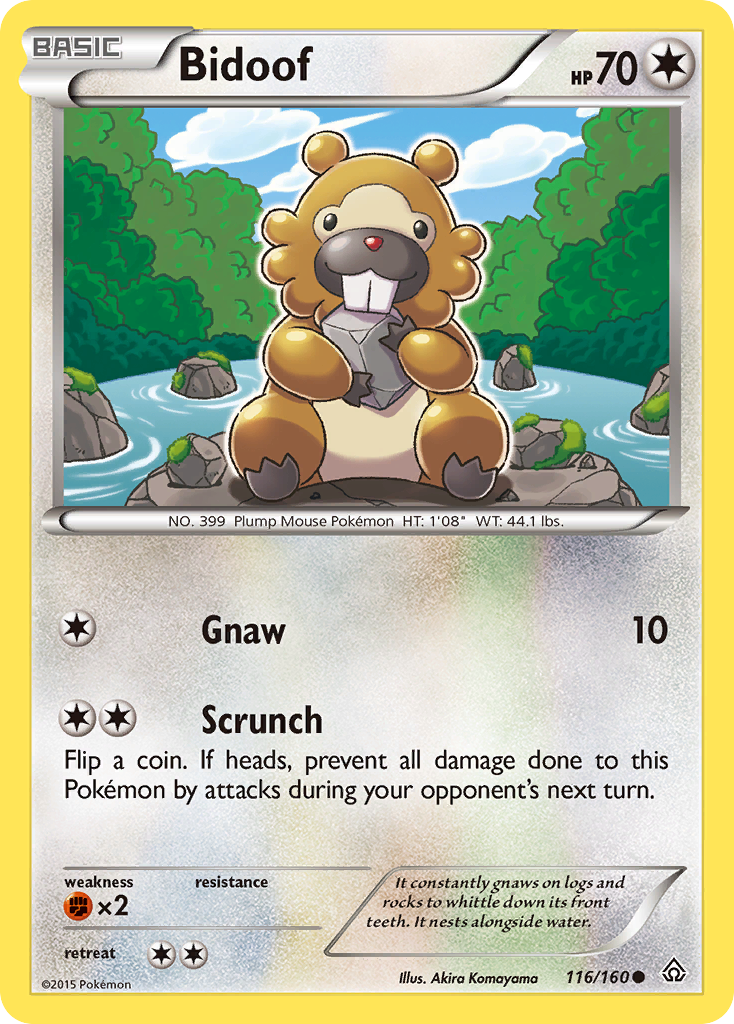 Bidoof (116/160) [XY: Primal Clash] | Mega City Incorporated