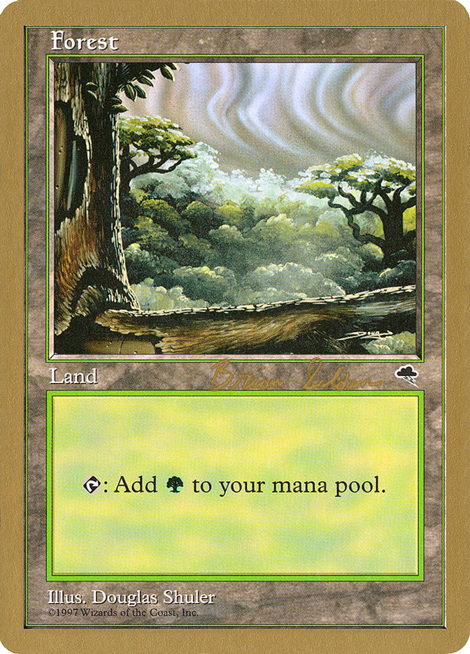 Forest (bs349) (Brian Selden) [World Championship Decks 1998] | Mega City Incorporated