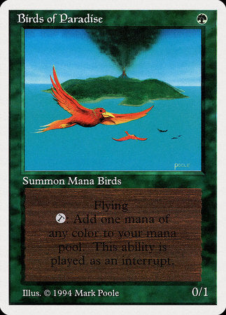 Birds of Paradise [Summer Magic / Edgar] | Mega City Incorporated